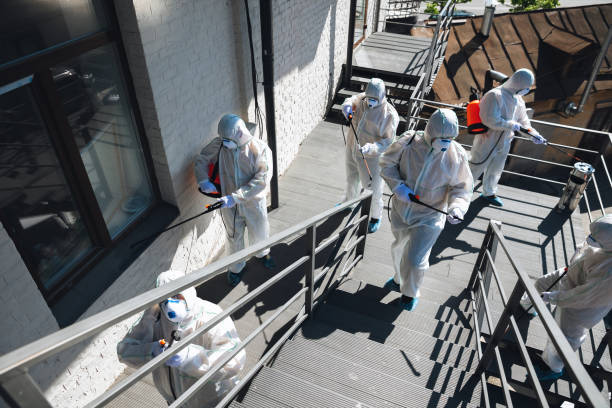 Logan, WV Mold Removal Pros
