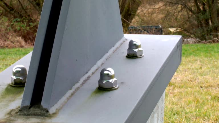 Best Forensic Mold Investigation  in Logan, WV