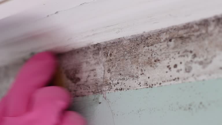 Forensic Mold Investigation in Logan, WV